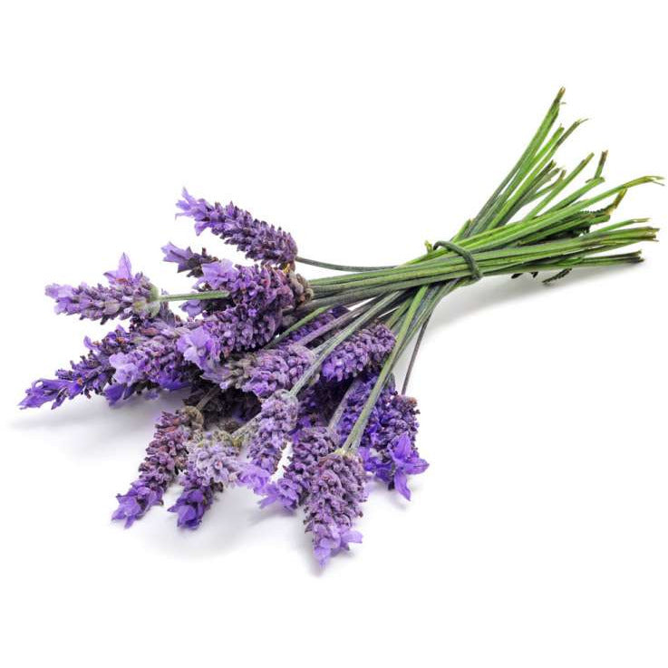 Lavendel Roller