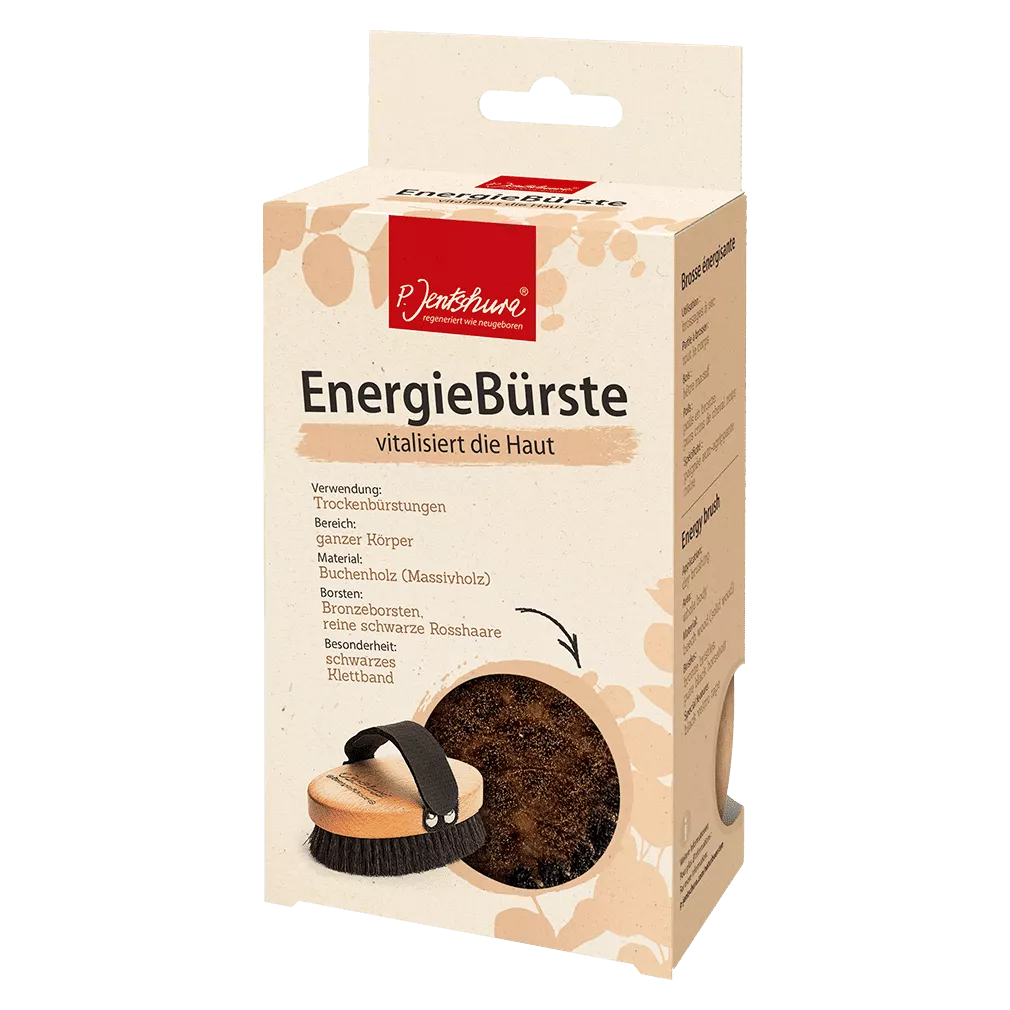 Energiebürste