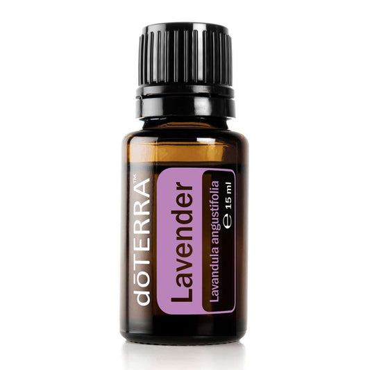 Lavendel