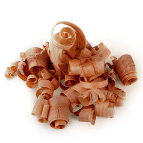 Lebensbaum (Arborvitae)