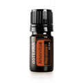 Lebensbaum (Arborvitae)